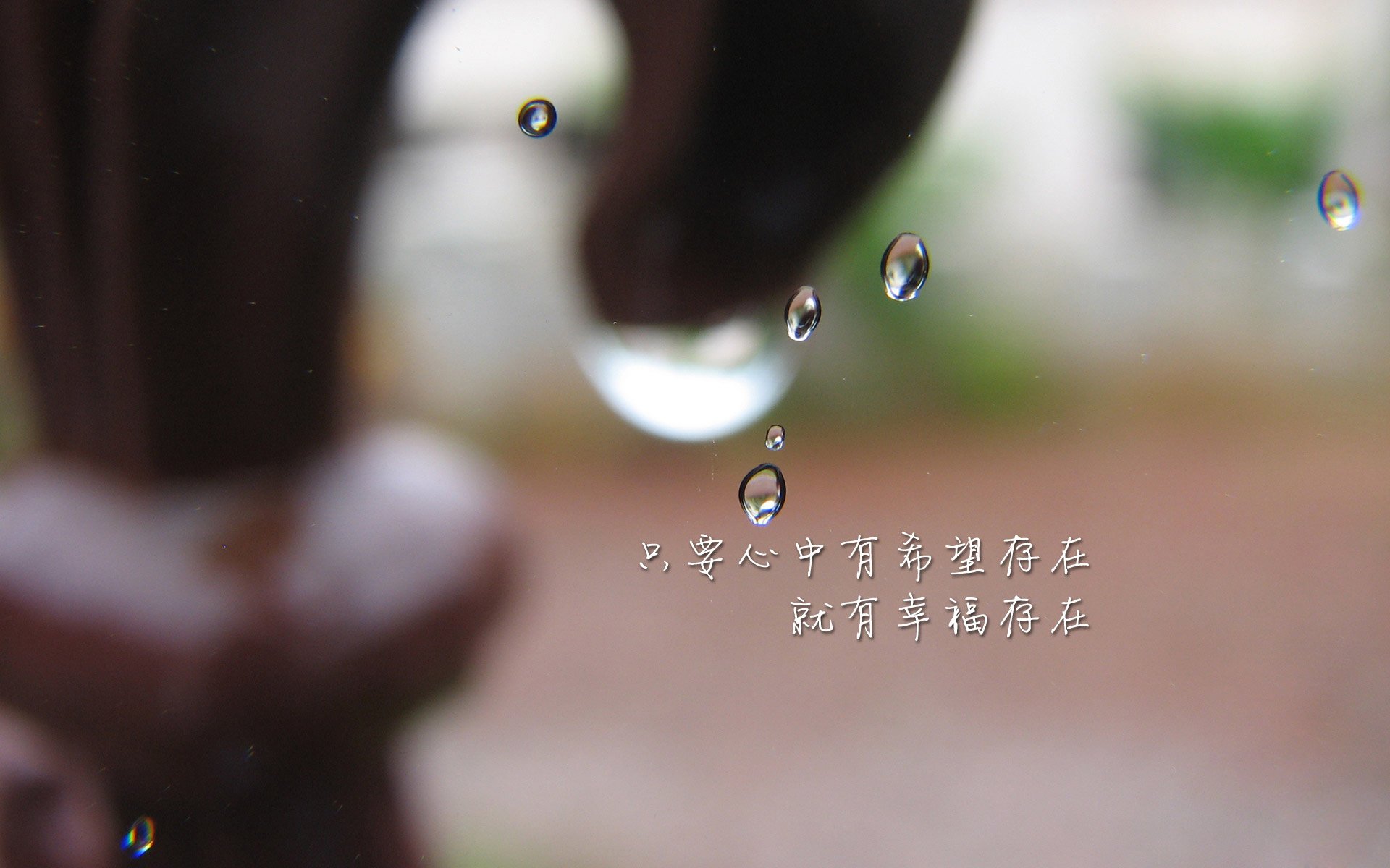 开云备用-_森林狼打出团队篮球，战胜强敌_，森林狼 kg