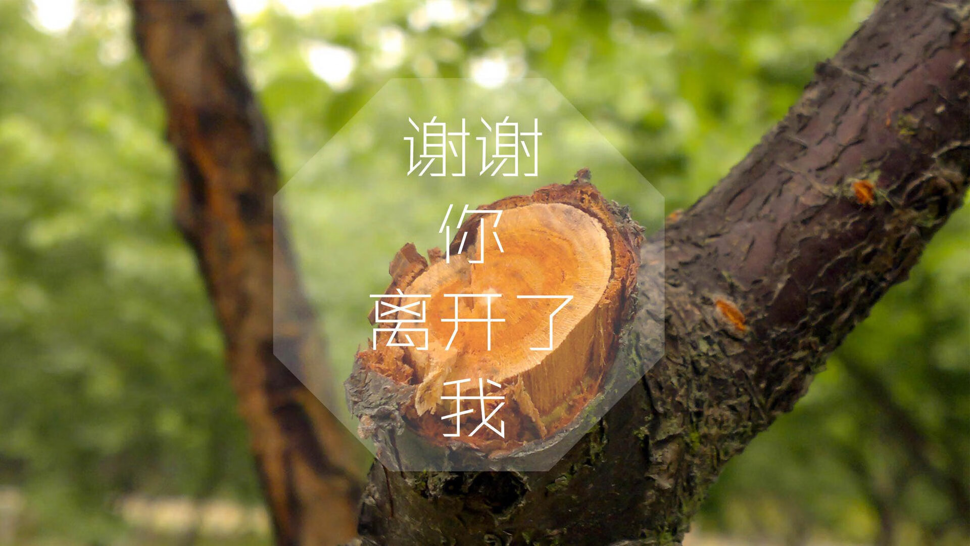 “青春无敌”全国青少年篮球文化节在杭州激情开幕,搭建交流平台